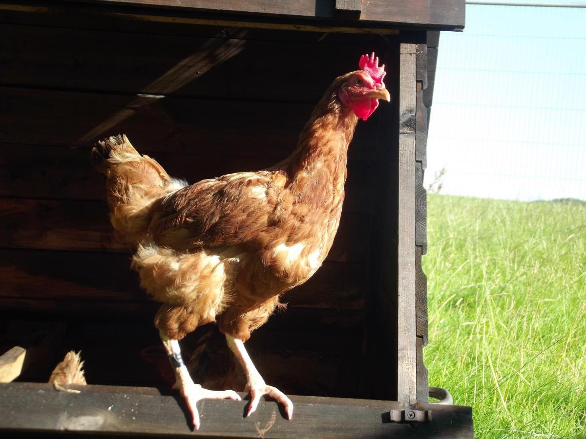 تيفرتون Deepaller Farm المظهر الخارجي الصورة